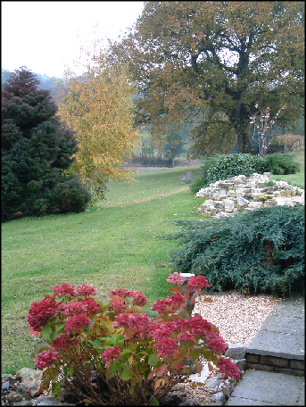 Autum colours in the garden