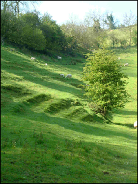Steep sided valleys around the middle of the farm