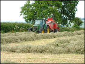 Making hay in the late summer, nearly all our grass is wrapped in plastic to preserve it for feeding to the sheep.